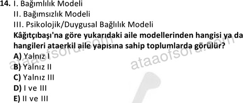 ata sosyalhizmlisans 2372 14