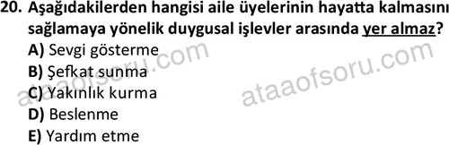 ata sosyalhizmlisans 2372 20