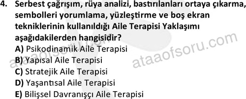 ata sosyalhizmlisans 2372 4