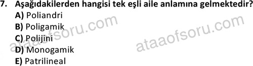 ata sosyalhizmlisans 2372 7