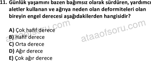 ata sosyalhizmlisans 2374 11