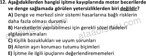 ata sosyalhizmlisans 2374 12