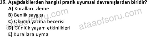 ata sosyalhizmlisans 2374 16