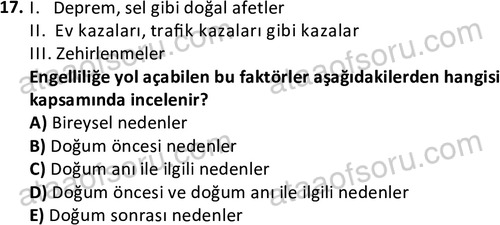 ata sosyalhizmlisans 2374 17