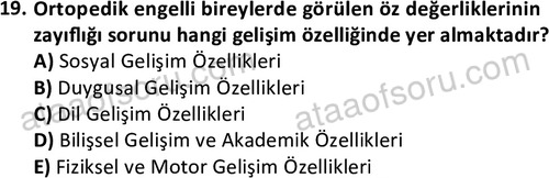 ata sosyalhizmlisans 2374 19