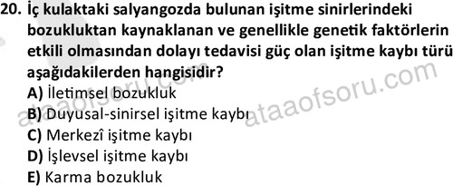 ata sosyalhizmlisans 2374 20