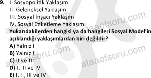 ata sosyalhizmlisans 2374 9