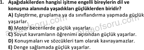 ata sosyalhizmlisans 2374 1