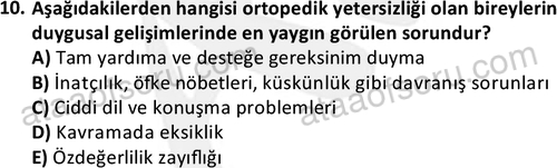 ata sosyalhizmlisans 2374 10