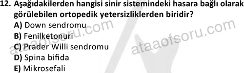 ata sosyalhizmlisans 2374 12