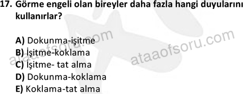 ata sosyalhizmlisans 2374 17
