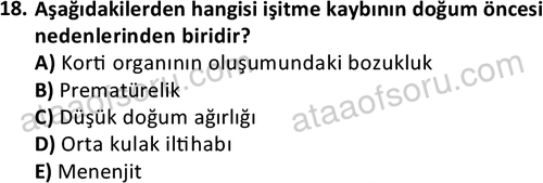 ata sosyalhizmlisans 2374 18
