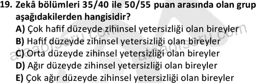 ata sosyalhizmlisans 2374 19