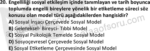 ata sosyalhizmlisans 2374 20