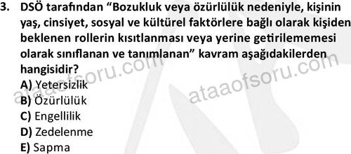 ata sosyalhizmlisans 2374 3