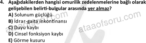ata sosyalhizmlisans 2374 4