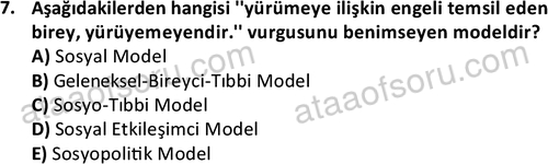 ata sosyalhizmlisans 2374 7
