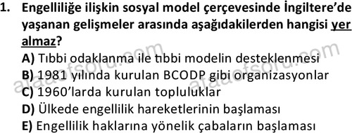 ata sosyalhizmlisans 2374 1