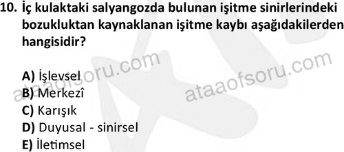 ata sosyalhizmlisans 2374 10
