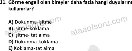 ata sosyalhizmlisans 2374 11