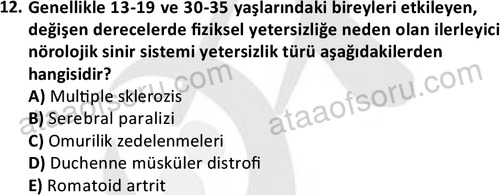 ata sosyalhizmlisans 2374 12