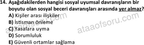 ata sosyalhizmlisans 2374 14