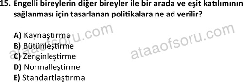 ata sosyalhizmlisans 2374 15