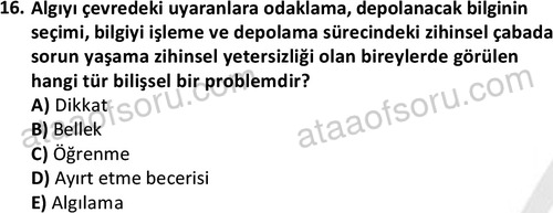 ata sosyalhizmlisans 2374 16