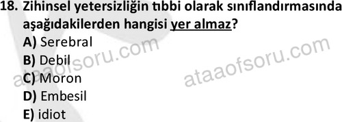 ata sosyalhizmlisans 2374 18