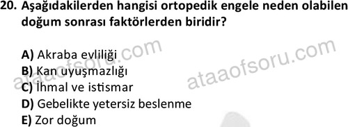 ata sosyalhizmlisans 2374 20
