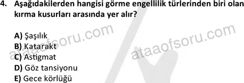 ata sosyalhizmlisans 2374 4