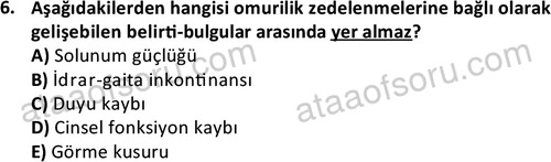ata sosyalhizmlisans 2374 6