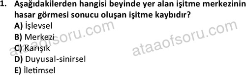 ata sosyalhizmlisans 2374 1