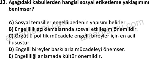 ata sosyalhizmlisans 2374 13