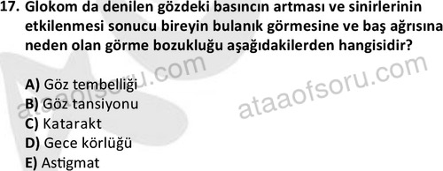 ata sosyalhizmlisans 2374 17
