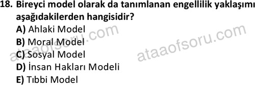 ata sosyalhizmlisans 2374 18