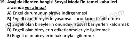 ata sosyalhizmlisans 2374 19