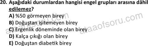ata sosyalhizmlisans 2374 20