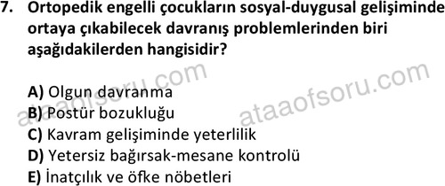ata sosyalhizmlisans 2374 7