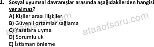 ata sosyalhizmlisans 2374 1