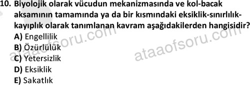 ata sosyalhizmlisans 2374 10