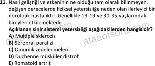 ata sosyalhizmlisans 2374 11
