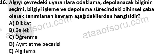 ata sosyalhizmlisans 2374 16