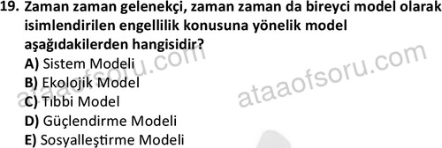 ata sosyalhizmlisans 2374 19