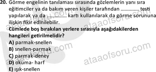 ata sosyalhizmlisans 2374 20