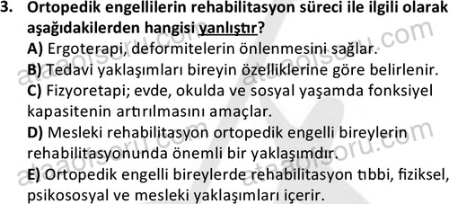 ata sosyalhizmlisans 2374 3