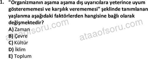 ata sosyalhizmlisans 2375 1