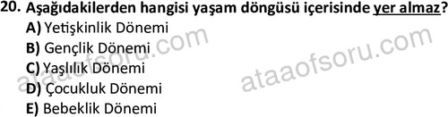 ata sosyalhizmlisans 2375 20