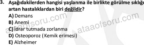 ata sosyalhizmlisans 2375 3