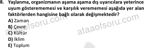 ata sosyalhizmlisans 2375 8
